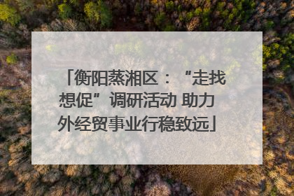 衡阳蒸湘区：“走找想促”调研活动 助力外经贸事业行稳致远