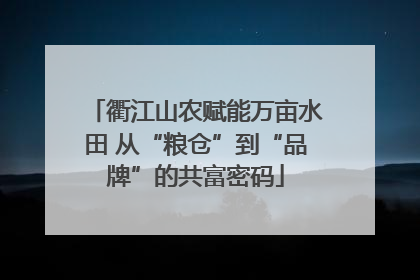 衢江山农赋能万亩水田 从“粮仓”到“品牌”的共富密码
