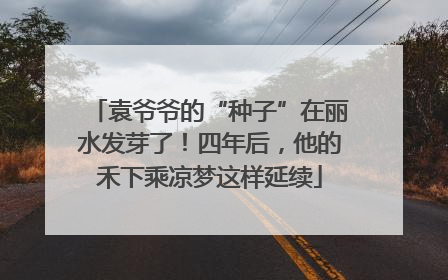 袁爷爷的“种子”在丽水发芽了！四年后，他的禾下乘凉梦这样延续