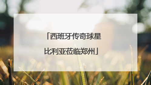 西班牙传奇球星 比利亚莅临郑州