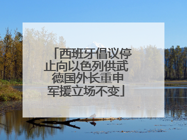 西班牙倡议停止向以色列供武 德国外长重申军援立场不变