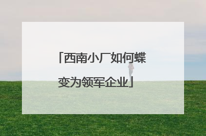 西南小厂如何蝶变为领军企业