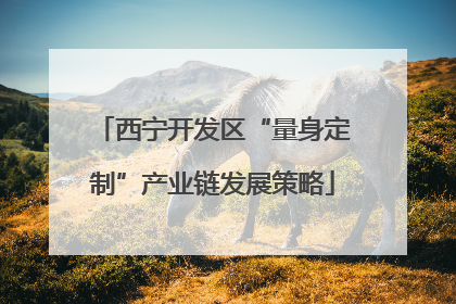 西宁开发区“量身定制”产业链发展策略