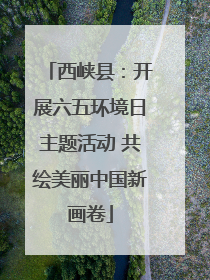 西峡县：开展六五环境日主题活动 共绘美丽中国新画卷