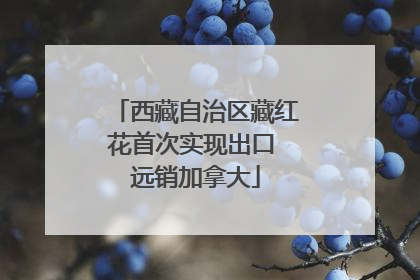 西藏自治区藏红花首次实现出口 远销加拿大