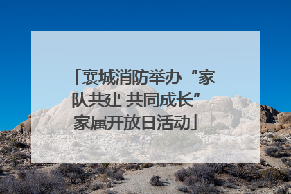襄城消防举办“家队共建 共同成长”家属开放日活动