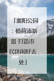 襄阳公园：植荷添新景 打造市民休闲好去处