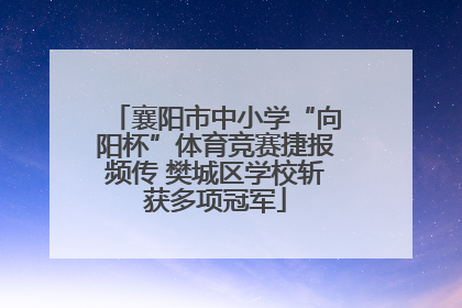 襄阳市中小学“向阳杯”体育竞赛捷报频传 樊城区学校斩获多项冠军