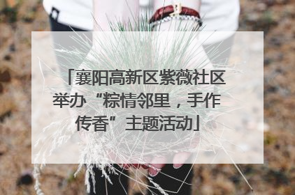 襄阳高新区紫薇社区举办“粽情邻里，手作传香”主题活动