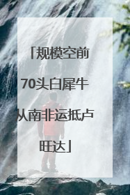 规模空前 70头白犀牛从南非运抵卢旺达