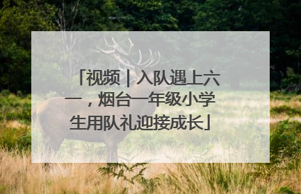 视频｜入队遇上六一，烟台一年级小学生用队礼迎接成长
