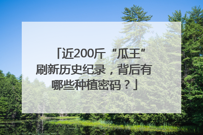 近200斤“瓜王”刷新历史纪录，背后有哪些种植密码？