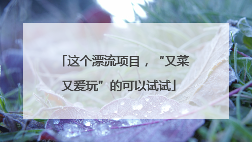 这个漂流项目，“又菜又爱玩”的可以试试