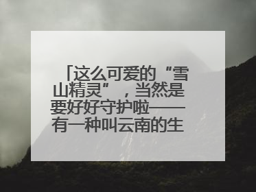 这么可爱的“雪山精灵”，当然是要好好守护啦——有一种叫云南的生活之365天