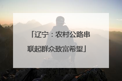 辽宁：农村公路串联起群众致富希望