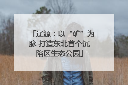 辽源：以“矿”为脉 打造东北首个沉陷区生态公园