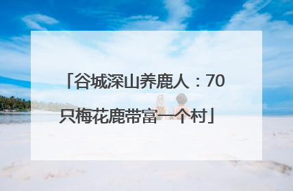 谷城深山养鹿人：70只梅花鹿带富一个村