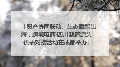 贸产协同联动、生态赋能出海，跨境电商·四川制造源头供需对接活动在成都举办