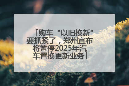 购车“以旧换新”要抓紧了，郑州宣布将暂停2025年汽车置换更新业务