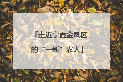 走近宁夏金凤区的“三新”农人