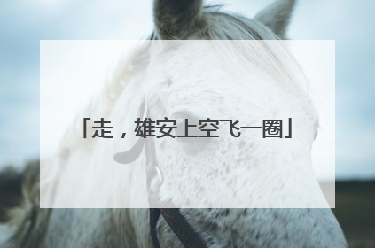 走，雄安上空飞一圈