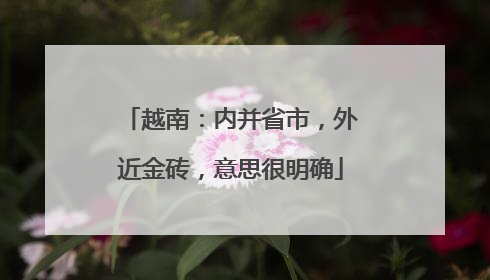 越南：内并省市，外近金砖，意思很明确
