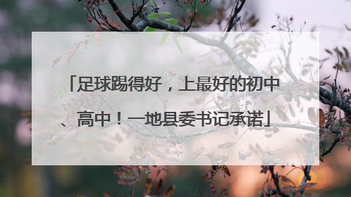 足球踢得好，上最好的初中、高中！一地县委书记承诺