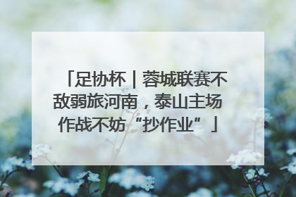 足协杯｜蓉城联赛不敌弱旅河南，泰山主场作战不妨“抄作业”