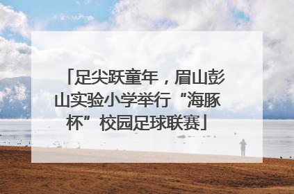 足尖跃童年，眉山彭山实验小学举行“海豚杯”校园足球联赛