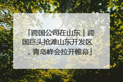 跨国公司在山东｜跨国巨头抢滩山东开发区，青岛峰会拉开帷幕
