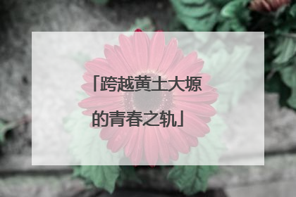 跨越黄土大塬的青春之轨