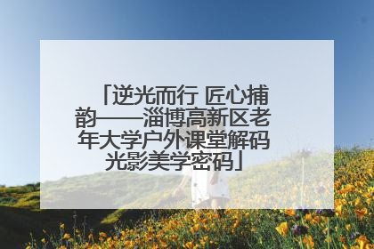 逆光而行 匠心捕韵——淄博高新区老年大学户外课堂解码光影美学密码
