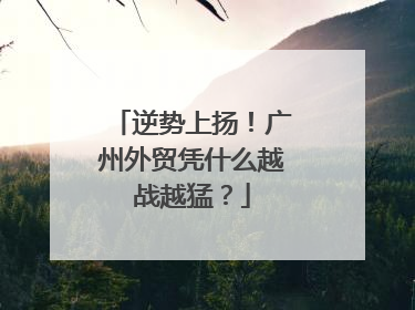 逆势上扬！广州外贸凭什么越战越猛？