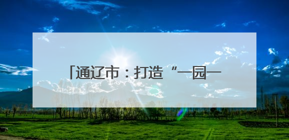 通辽市：打造“一园一展厅一基地”创新模式