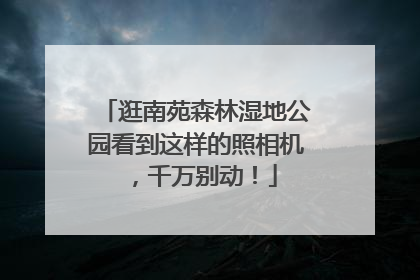逛南苑森林湿地公园看到这样的照相机，千万别动！