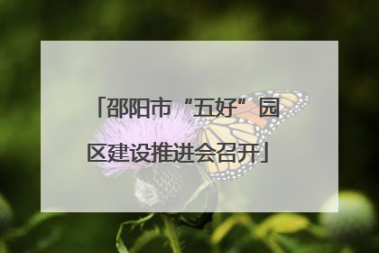 邵阳市“五好”园区建设推进会召开