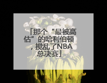 那个“最被高估”的哈利伯顿，搅乱了NBA总决赛