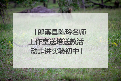 郎溪县陈玲名师工作室送培送教活动走进实验初中