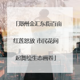 郑州金汇东街百亩红莲怒放 市民花间起舞绘生态画卷