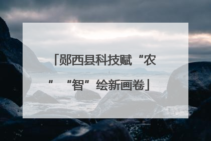 郧西县科技赋“农”“智”绘新画卷