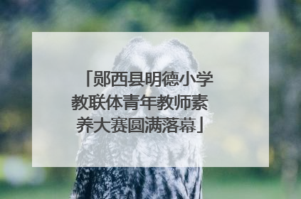 郧西县明德小学教联体青年教师素养大赛圆满落幕