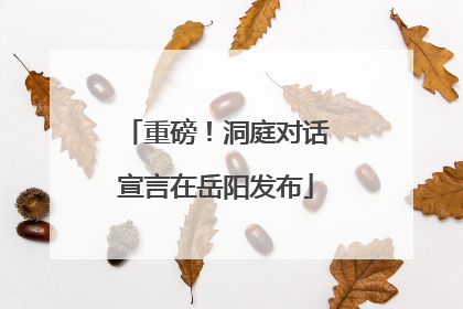 重磅！洞庭对话宣言在岳阳发布