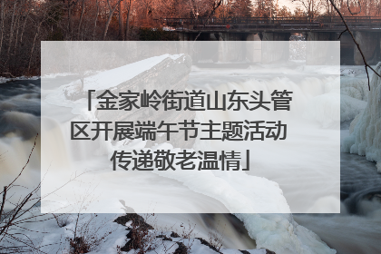 金家岭街道山东头管区开展端午节主题活动 传递敬老温情
