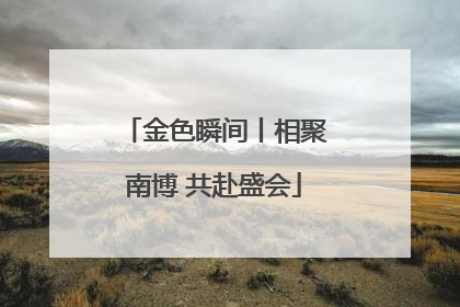 金色瞬间丨相聚南博 共赴盛会