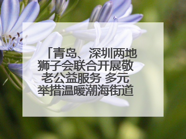 青岛、深圳两地狮子会联合开展敬老公益服务 多元举措温暖潮海街道南杨头村老人