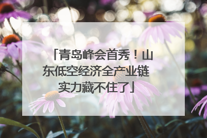 青岛峰会首秀！山东低空经济全产业链实力藏不住了