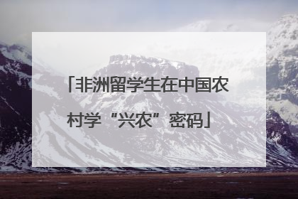 非洲留学生在中国农村学“兴农”密码