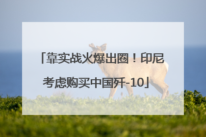 靠实战火爆出圈！印尼考虑购买中国歼-10