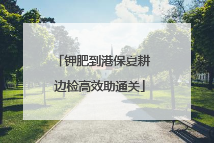 钾肥到港保夏耕 边检高效助通关