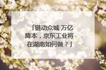 链动众城 万亿降本，京东工业将在湖南如何做？